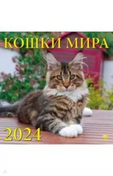 Календарь на 2024 год. Кошки мира