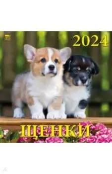 Календарь на 2024 год Щенки