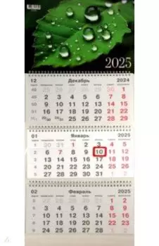 Календарь на 2025 год трехблочный Капли дождя