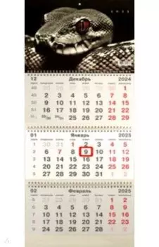 Календарь на 2025 год трехблочный Символ года. 2