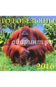 Календарь настенный на 2016 год "Год обезьяны" (70618)