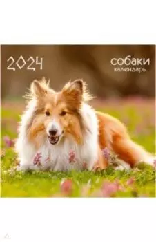 Календарь настенный на 2024 год Домашние любимцы