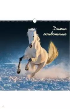Календарь настенный на 2024 год В мире дикой природы