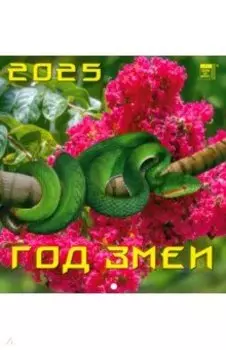 Календарь настенный на 2025 год Год змеи