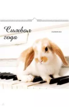 Календарь настенный перекидной на 2023 год Символ года 1