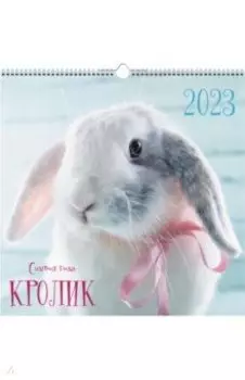 Календарь настенный перекидной на 2023 год Символ года 3