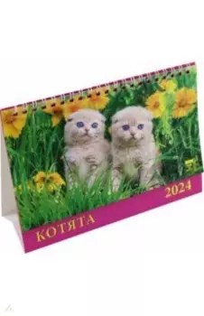 Календарь настольный на 2024 год Котята