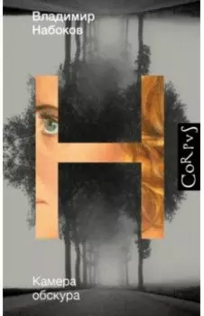 Камера обскура