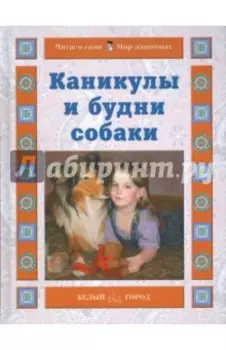 Каникулы и будни собаки