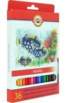 Карандаши цветные акварельные Рыбки, 36 цветов