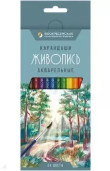 Карандаши цветные акварельные Живопись, 24 цвета