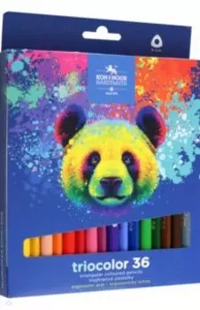 Карандаши цветные jumbo Triocolor Bear, 36 цветов