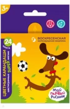 Карандаши цветные Песик, 24 цвета, короткие