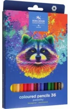 Карандаши цветные Racoon, 36 цветов