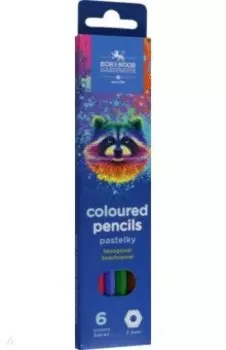 Карандаши цветные Racoon, 6 цветов