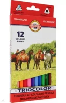 Карандаши цветные Triocolor, 12 цветов, утолщенные