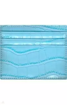 Кардхолдер Savage Голубой