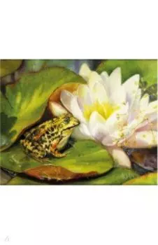 Картина по номерам 40х50 см. "Водная идиллия", на подрамнике, акрил, кисти (662907)