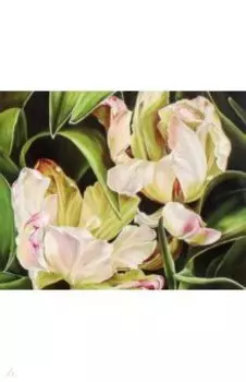 Картина по номерам Аромат тюльпана