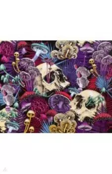 Картина по номерам Ванитас