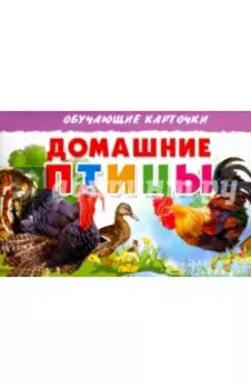 Карточки. Домашние птицы