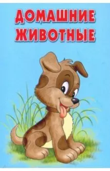 Карточки "Домашние животные". Интересные факты