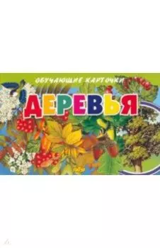 Карточки обучающие. Деревья