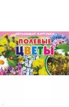 Карточки. Полевые цветы