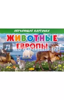 Карточки. Животные Европы