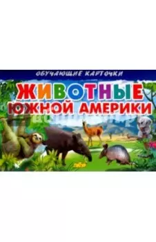 Карточки. Животные Южной Америки
