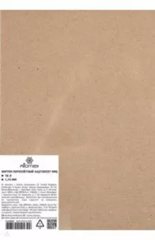 Картон переплетный, A4, 10 листов