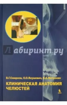 Клиническая анатомия челюстей