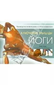 Ключевые мышцы йоги