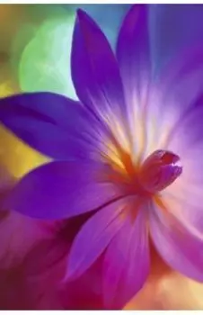 Книга для записей Вдохновение! А6, 64 листа, клетка