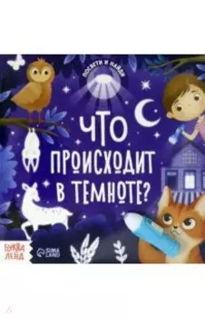 Книга с фонариком Что происходит в темноте?