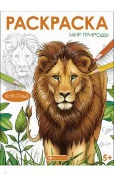 Книжка-раскраска Мир природы. Животные