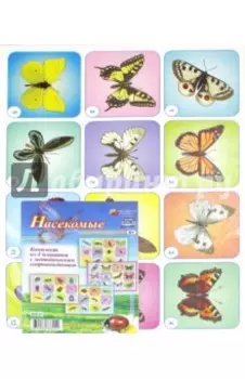 Комплект плакатов, 4 штуки. Насекомые. ФГОС ДО