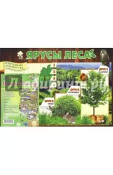 Комплект плакатов - 8 шт с методическим сопровождением. Природные сообщества. ФГОС