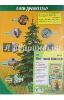 Комплект плакатов "Лес - наше богатство". 4 плаката с методическим сопровождением. ФГОС