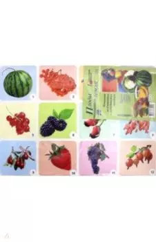 Комплект плакатов "Плоды земли" (4 плаката: "Фрукты", "Ягоды", "Овощи", "Грибы") ФГОС ДО