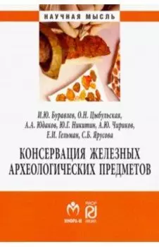 Консервация железных археологических предметов. Монография