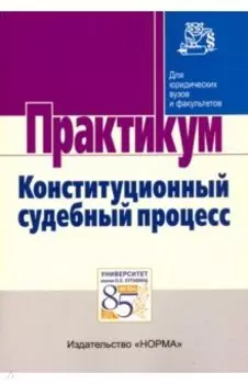 Конституционный судебный процесс. Практикум