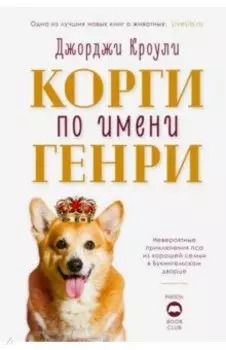 Корги по имени Генри
