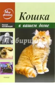 Кошка в вашем доме