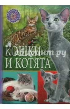 Кошки и котята