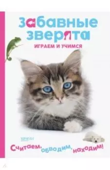 Котенок. Играем и учимся