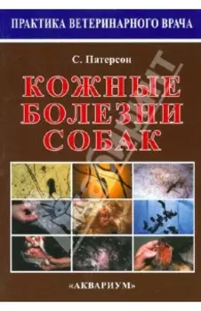 Кожные болезни собак