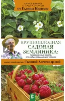 Крупноплодная садовая земляника. Проверенные сорта, способы повышения урожая