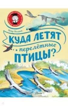 Куда летят перелётные птицы?