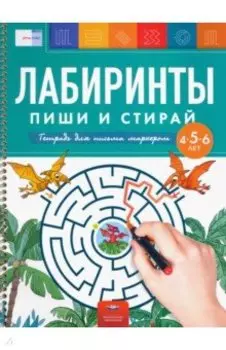 Лабиринты. Пиши и стирай. Тетрадь для письма маркером для детей 4-5-6 лет